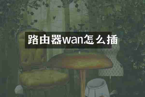 路由器wan怎么插