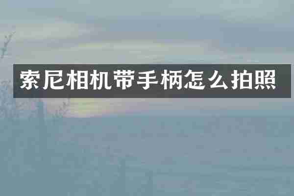相机带手柄怎么拍照