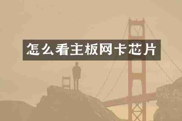 怎么看主板网卡芯片