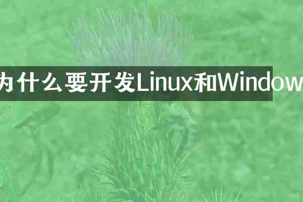 为什么要开发Linux和Windows