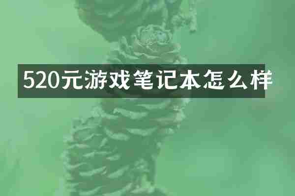 520元游戏笔记本怎么样