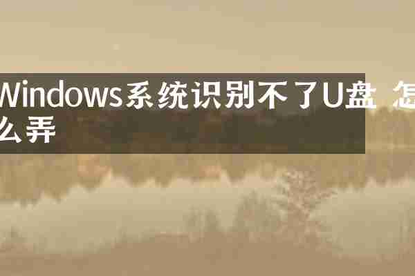 Windows系统识别不了U盘 怎么弄