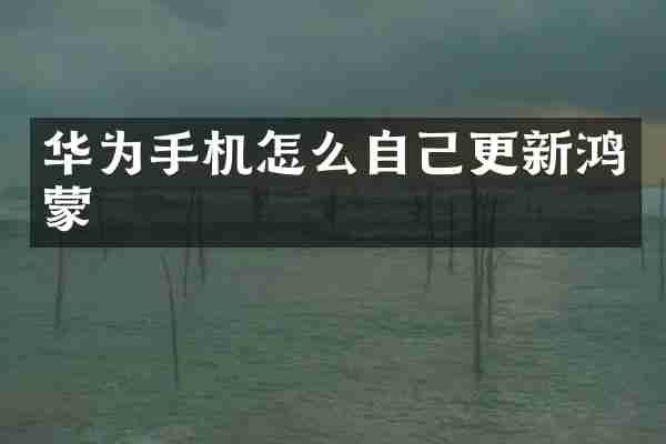 华为手机怎么自己更新鸿蒙