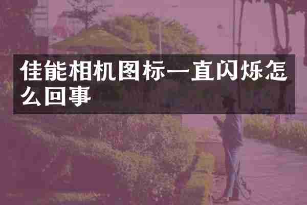 佳能相机图标一直闪烁怎么回事