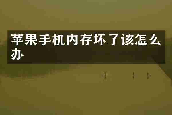 苹果手机内存坏了该怎么办