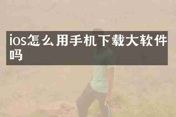 ios怎么用手机下载大软件吗