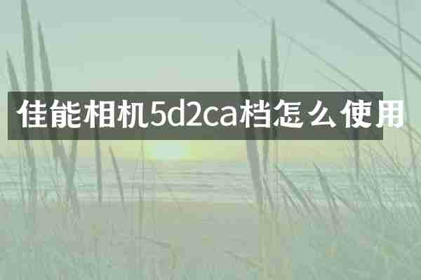 佳能相机5d2ca档怎么使用