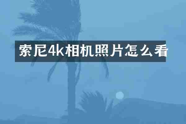 索尼4k相机照片怎么看