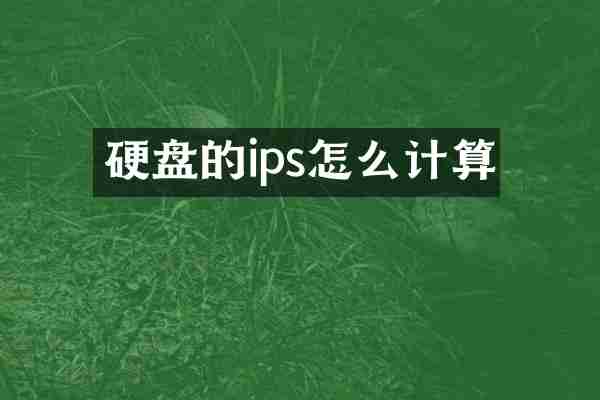硬盘的ips怎么计算