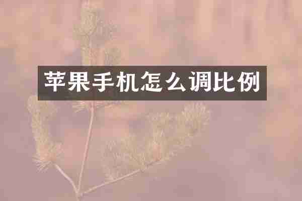 苹果手机怎么调比例