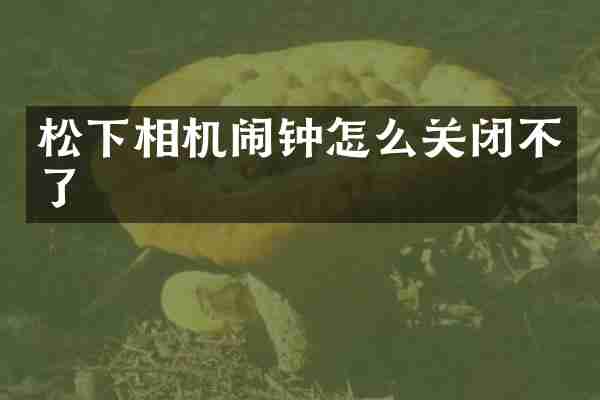 相机闹钟怎么关闭不了