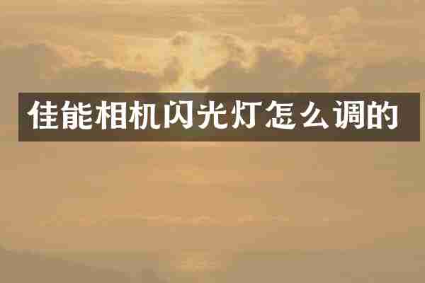 佳能相机闪光灯怎么调的