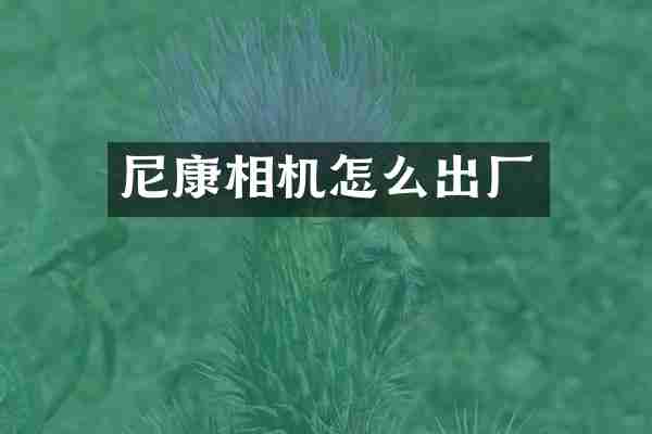 尼康相机怎么出厂