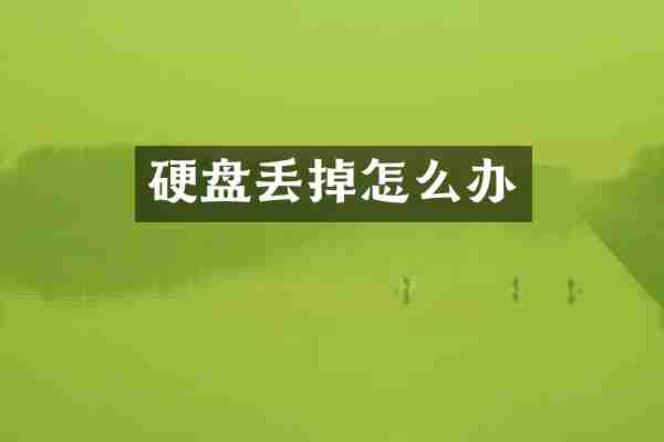硬盘丢掉怎么办