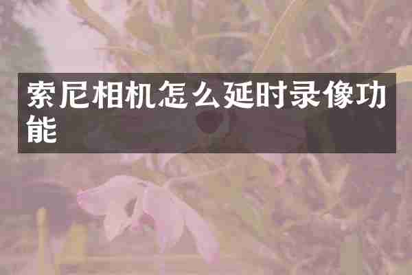 索尼相机怎么延时录像功能