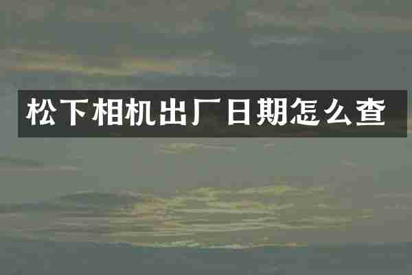 松下相机出厂日期怎么查