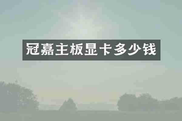 冠嘉主板显卡多少钱