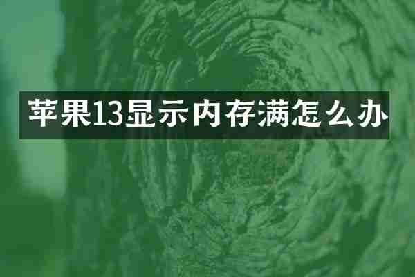 苹果13显示内存满怎么办