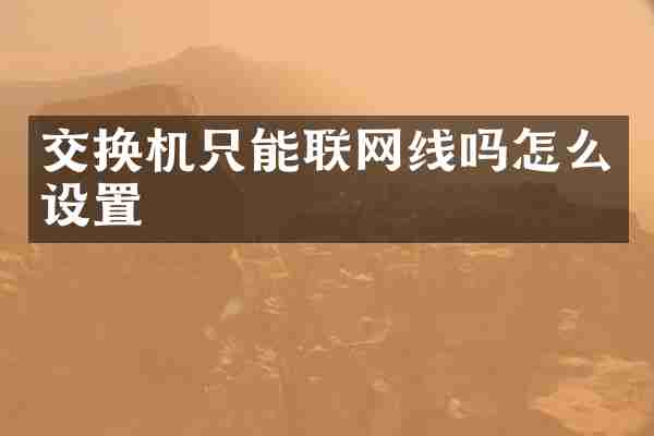 交换机只能联网线吗怎么设置