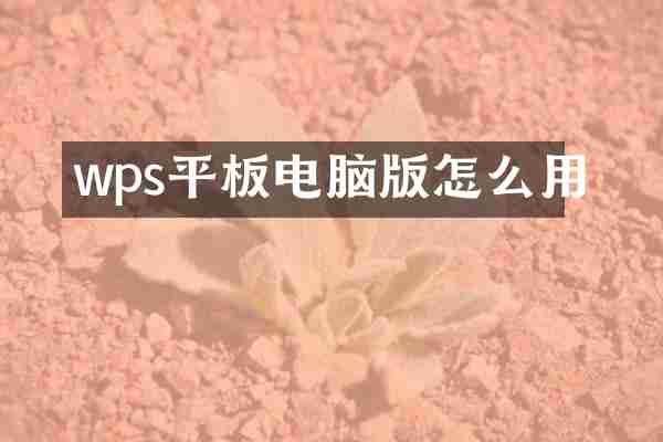 wps平板电脑版怎么用