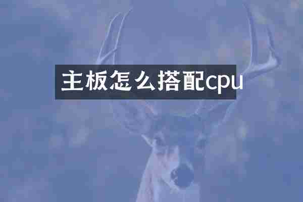主板怎么搭配cpu