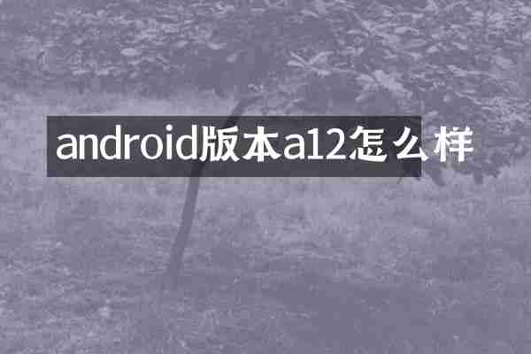 androi本a12怎么样