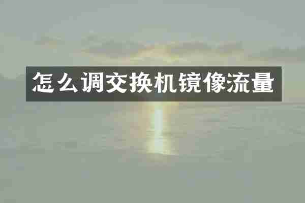 怎么调交换机镜像流量