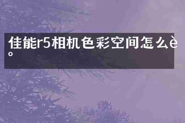 佳能r5相机色彩空间怎么调