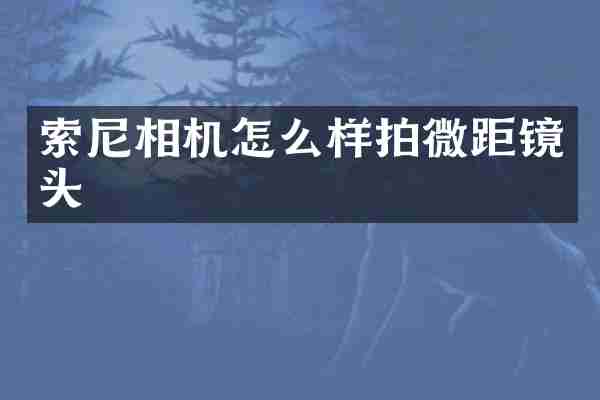 索尼相机怎么样拍微距镜头