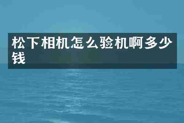 松下相机怎么验机啊多少钱
