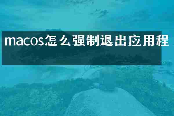 macos怎么强制退出应用程序