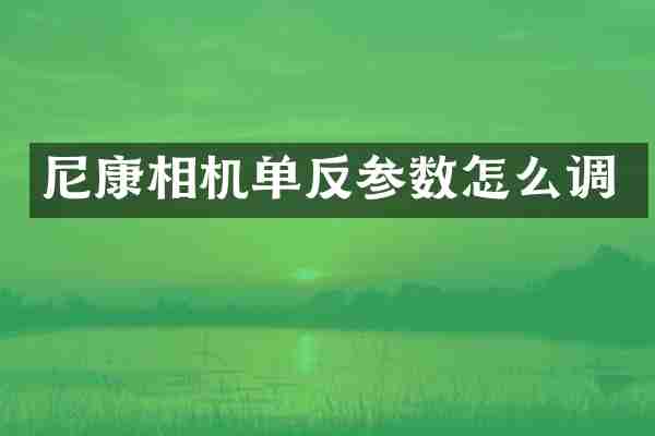 尼康相机单反参数怎么调