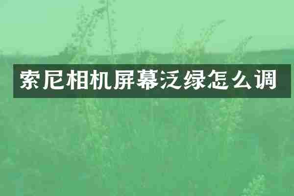 索尼相机屏幕泛绿怎么调