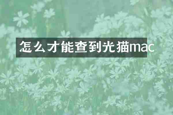 怎么才能查到光猫mac