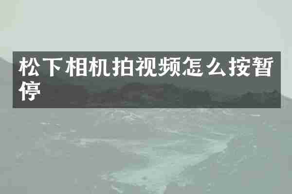 松下相机拍视频怎么按暂停
