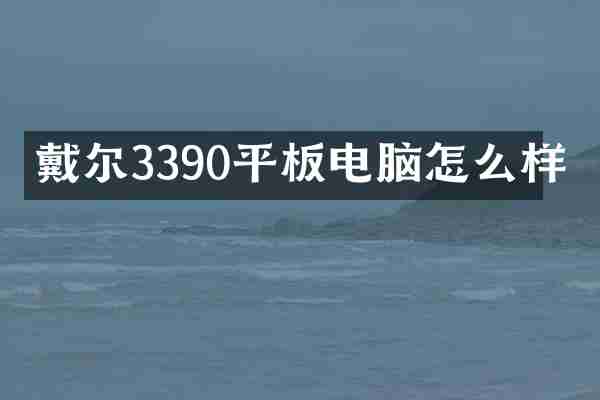 戴尔3390平板电脑怎么样