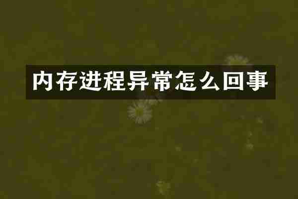 内存进程异常怎么回事