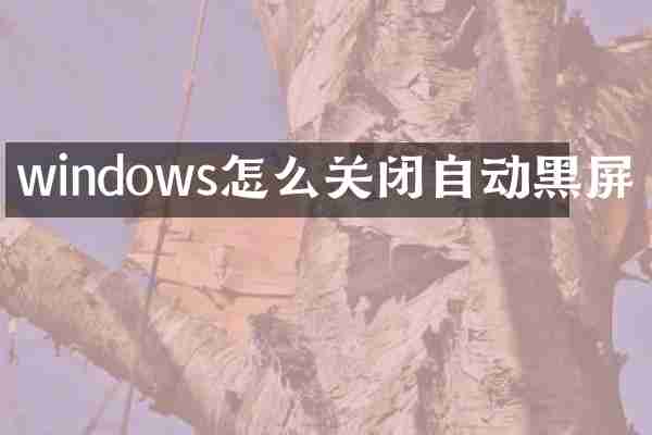 windows怎么关闭自动黑屏