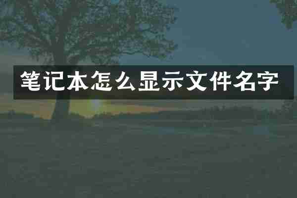 笔记本怎么显示文件名字