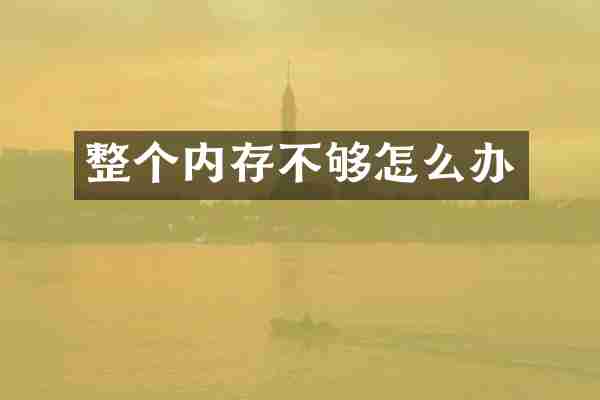 整个内存不够怎么办