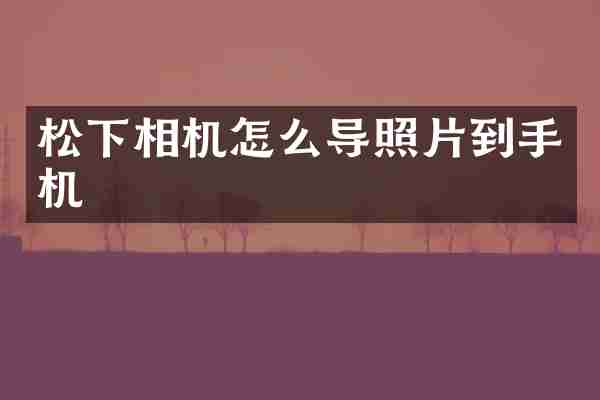 松下相机怎么导照片到手机