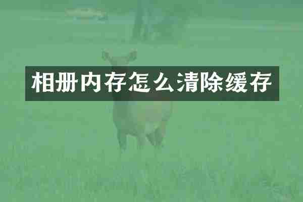 相册内存怎么清除缓存