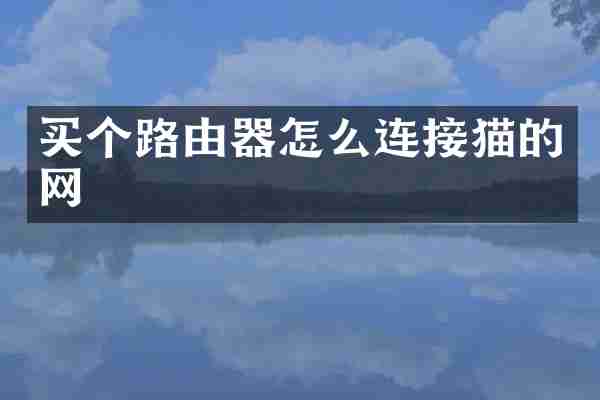买个路由器怎么连接猫的网