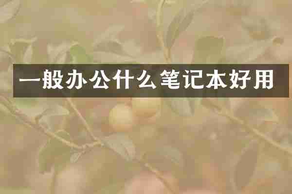 一般办公什么笔记本好用