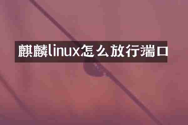 麒麟linux怎么放行端口