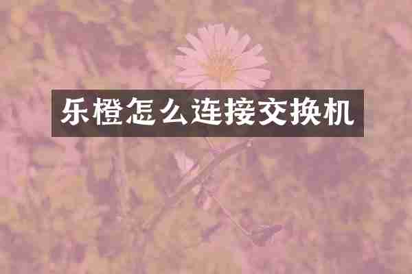 乐橙怎么连接交换机