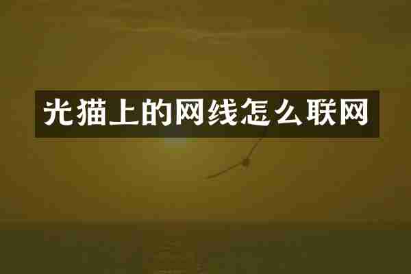 光猫上的网线怎么联网