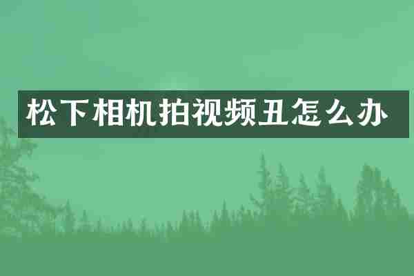 松下相机拍视频丑怎么办