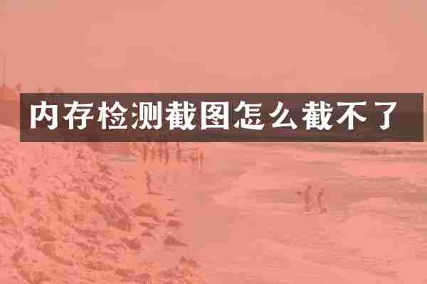 内存检测截图怎么截不了