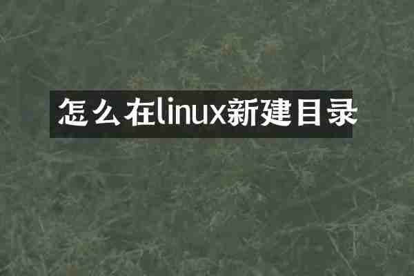 怎么在linux新建目录